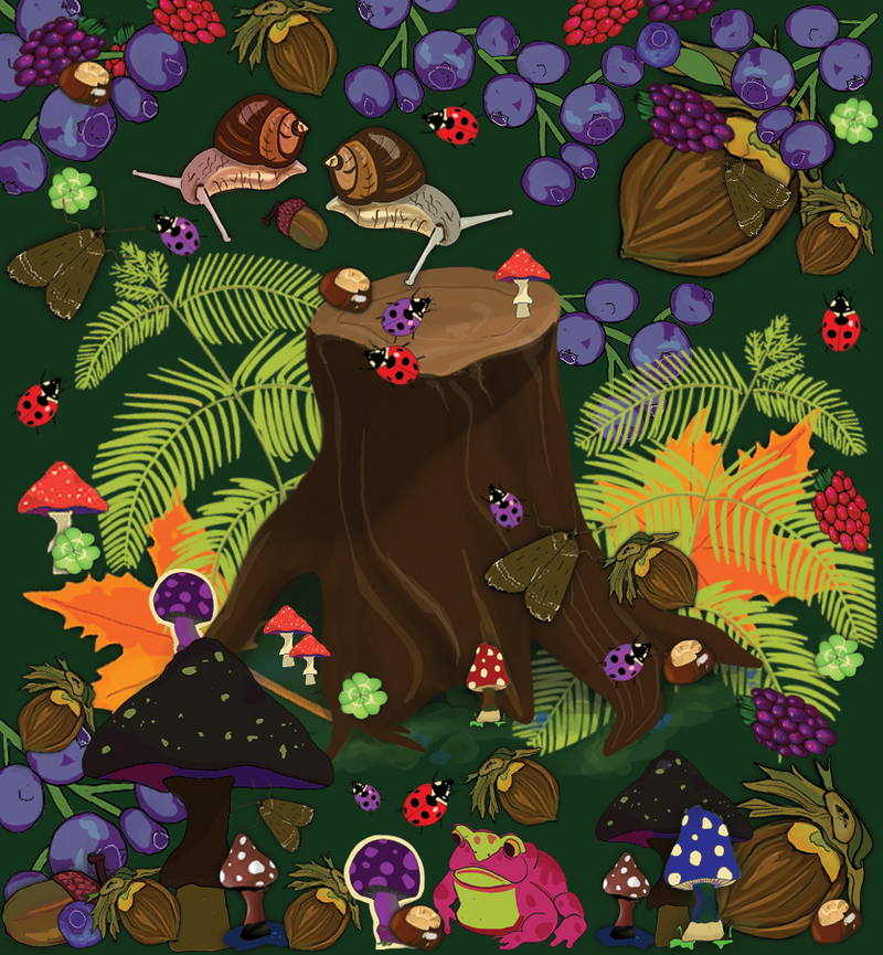 Autumn Forest Floor